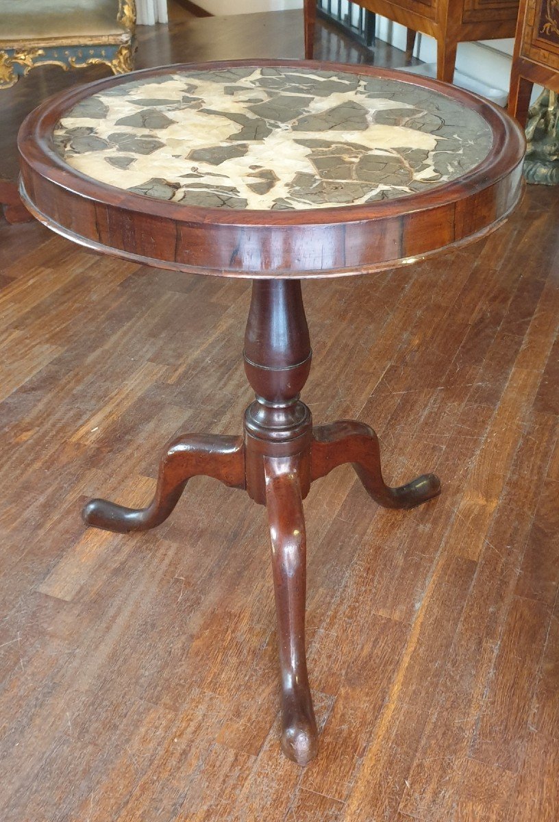 Georgian Occasional Round Table With Septarian Marble Top, Late XVIII Century Early XIX Century
