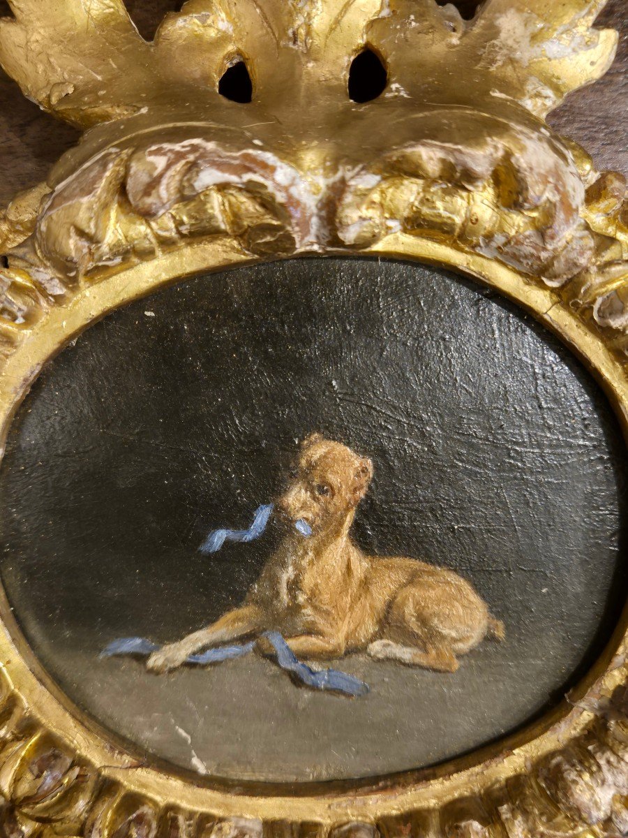 Ecole Italienne, Portrait De Chien , XVIIIéme Siécle En Cadre Dorée