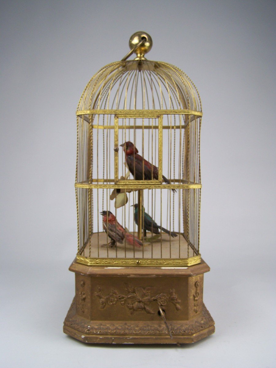 Cage à Oiseau Chanteur Avec  3 Oiseaux Par Bontems (paris)-photo-4