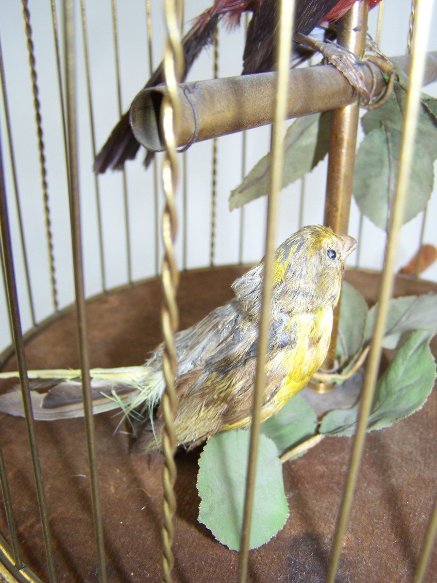 Cage En Laiton à Oiseaux Chantante Avec 2 Oiseaux Par Bontems (paris)(original)-photo-3