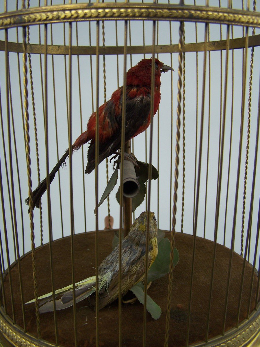 Brass Singing Bird Cage With 2 Birds By Bontems (paris)(original)-photo-4