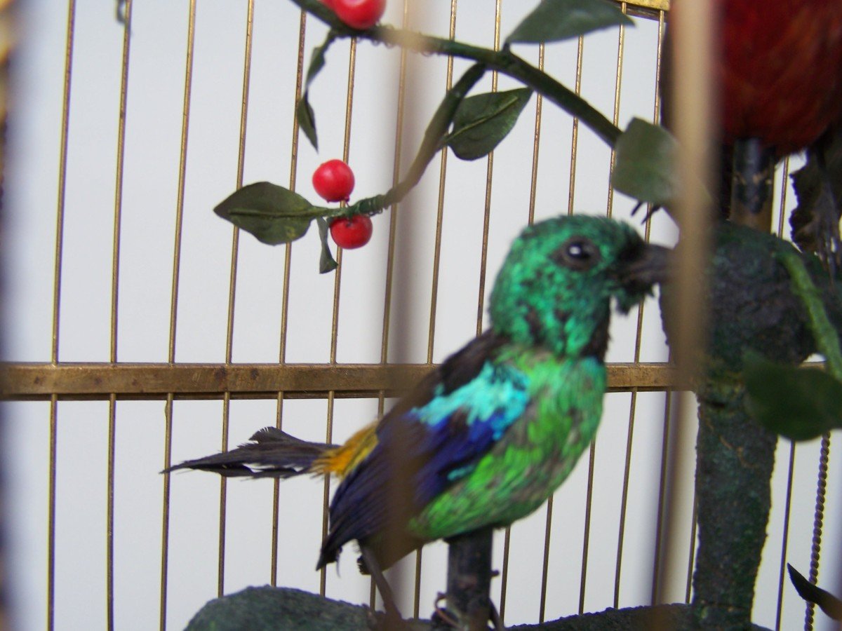 Singing Bird Cage By Bontems (paris)-photo-4