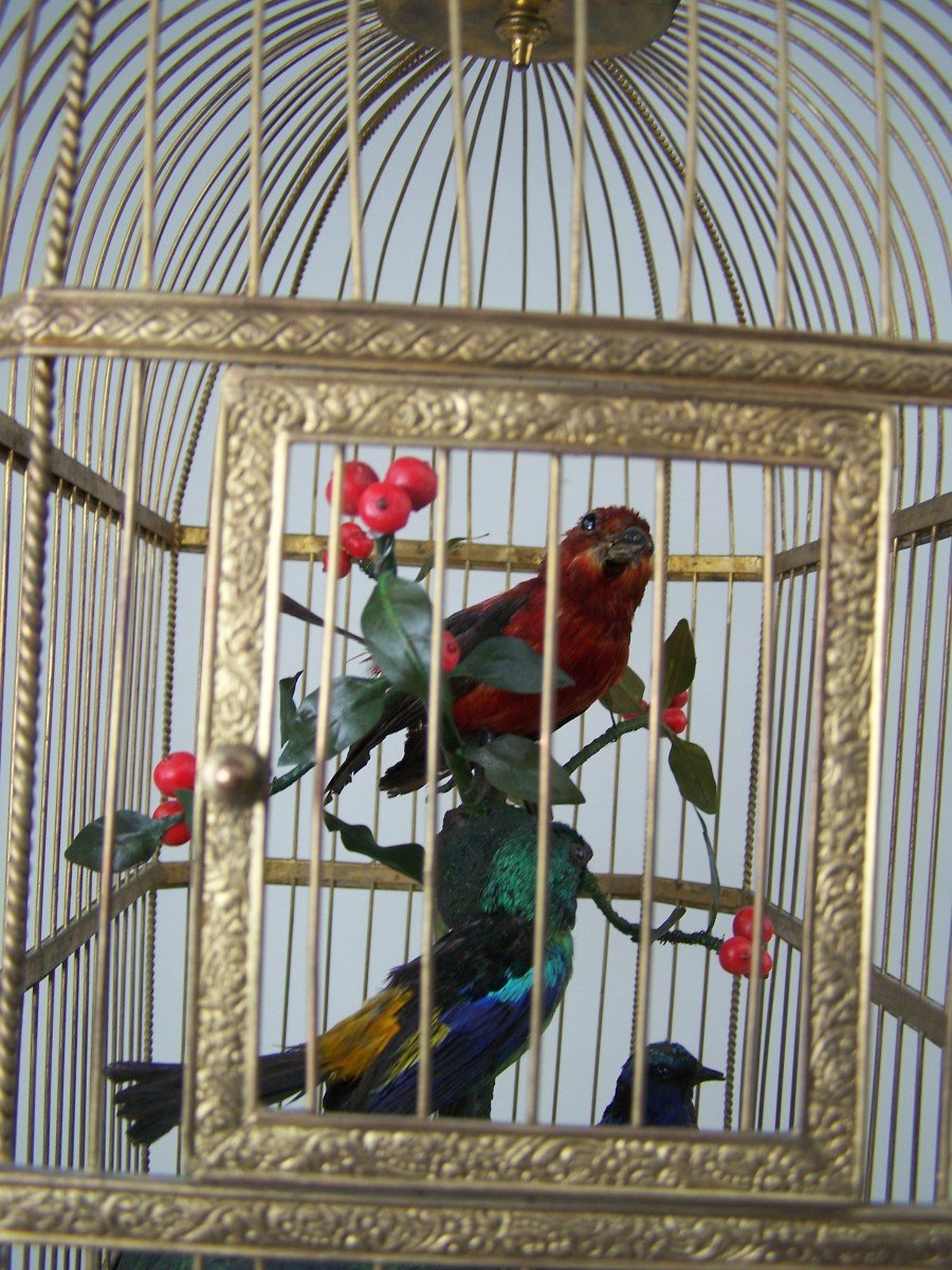 Singing Bird Cage By Bontems (paris)-photo-7