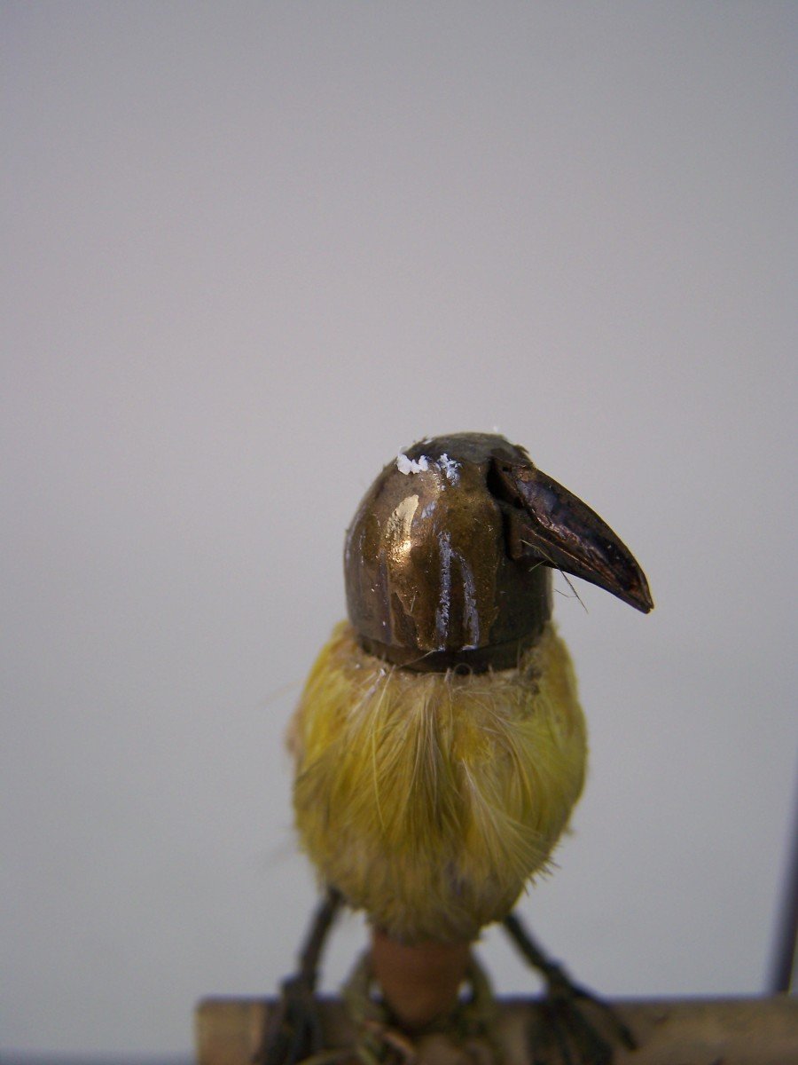 Bel Oiseau Chanteur Mécanique Qui Chante Merveilleusement Bien-photo-3