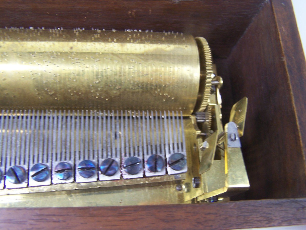 Sectional Comb Cylinder Music Box