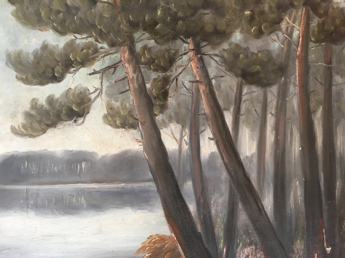 Landes Landscape, Landais Lake, Oil On Cardboard Attributed To Ducasse Sourgen, (jr Sourgen)-photo-2