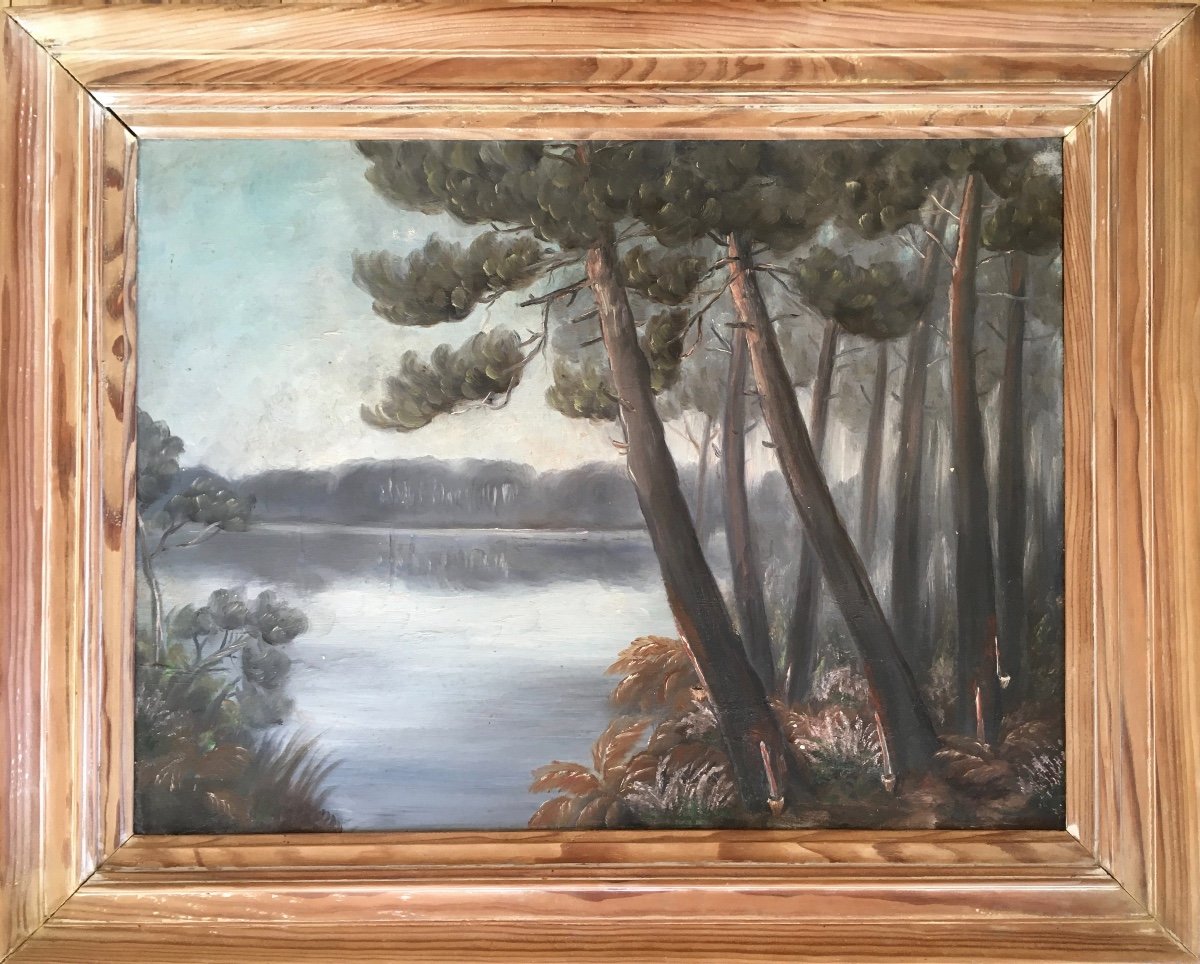 Landes Landscape, Landais Lake, Oil On Cardboard Attributed To Ducasse Sourgen, (jr Sourgen)