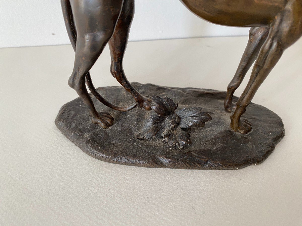 19th Century Bronze Animal Greyhound (in Le Goût De Barye)-photo-3