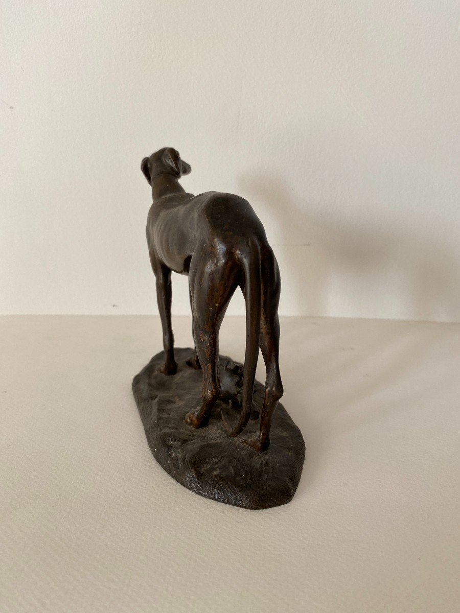 19th Century Bronze Animal Greyhound (in Le Goût De Barye)-photo-1