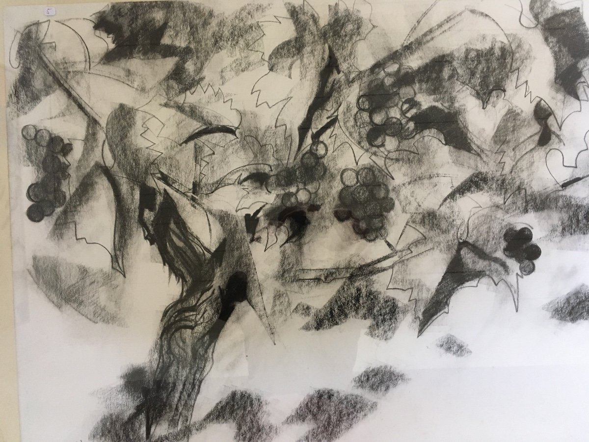 Pierre Theron. Original Drawing Around 1960. The Vine, Grapes, Study On The Wine, Bordeaux-photo-1