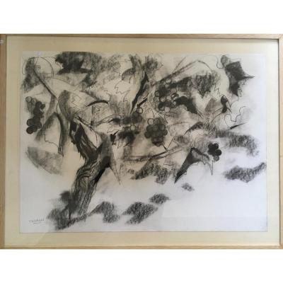 Pierre Théron. Dessin Original Vers 1960. La Vigne , Raisins, étude Sur Le Vin, Bordeaux