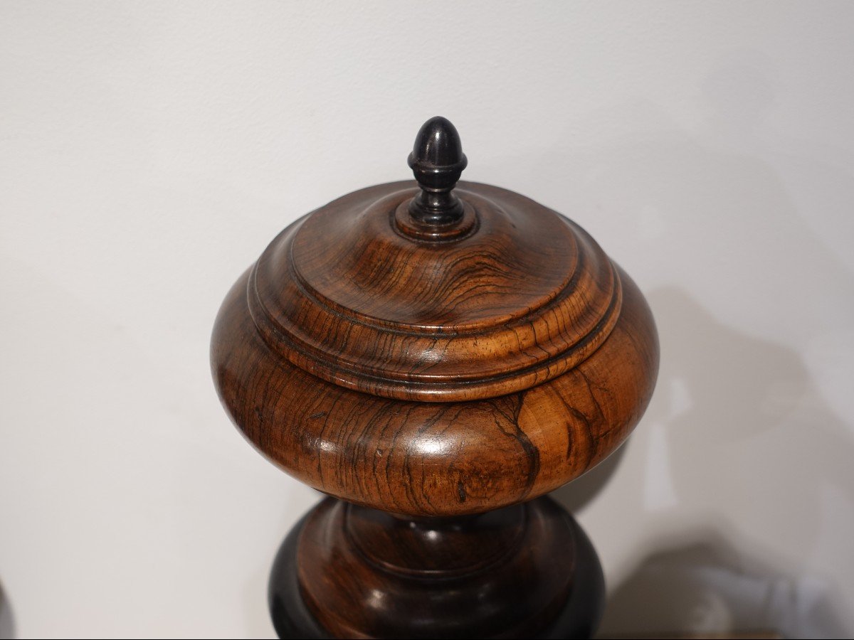 Pair Of Covered Rosewood Vases – 19th Century-photo-4