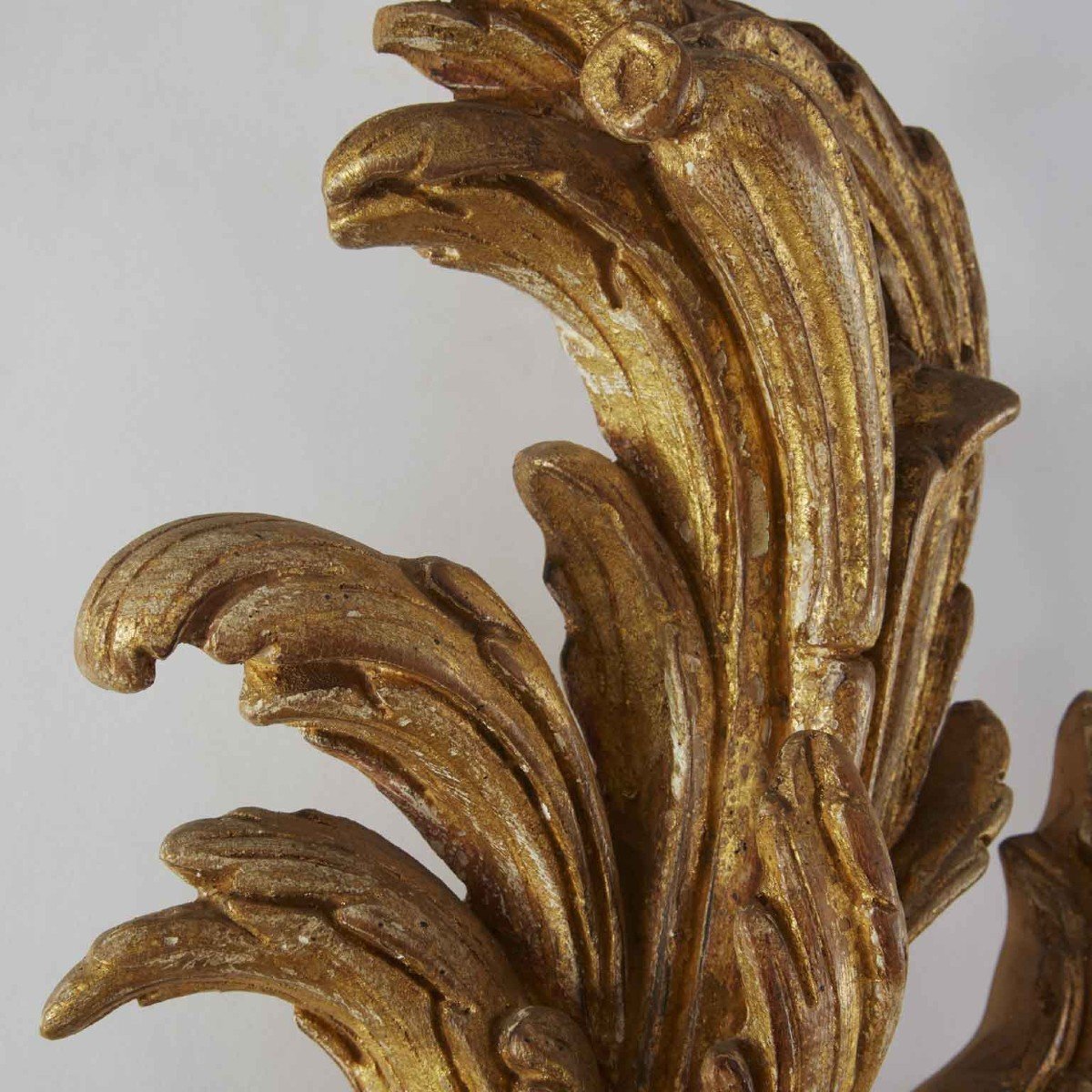 Pair Of Large Florentine Louis XV Style Gilded Appliques 1990 Rocaille Carving By Chelini -photo-3