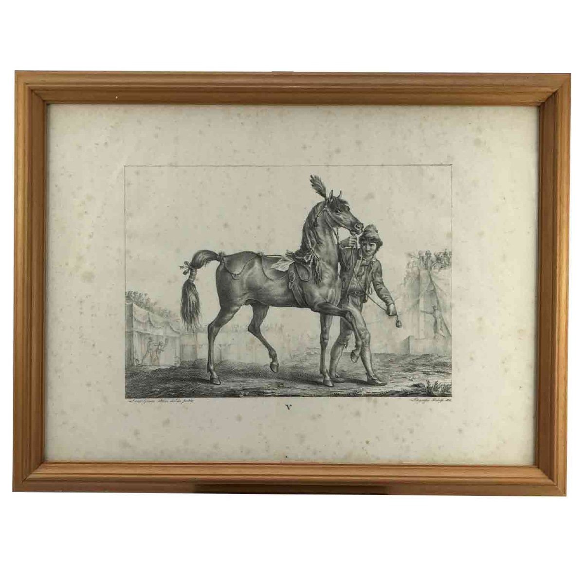 European Horse Breeds Nine Lithographs By Italian Giarrè Luigi 1822 Firenze-photo-2