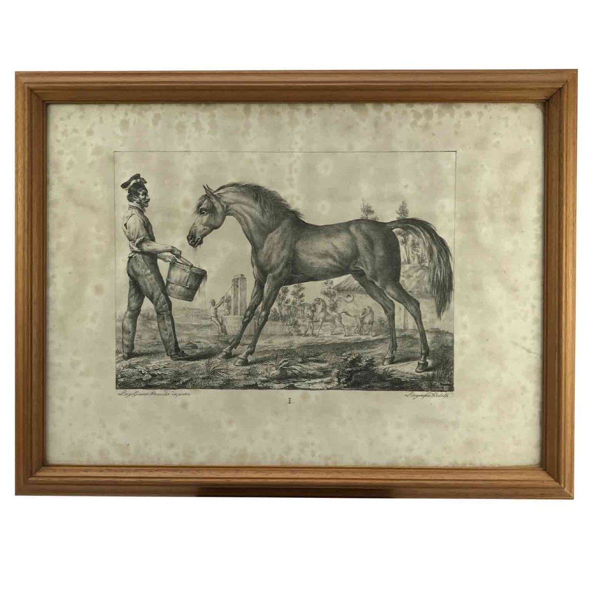 European Horse Breeds Nine Lithographs By Italian Giarrè Luigi 1822 Firenze-photo-3