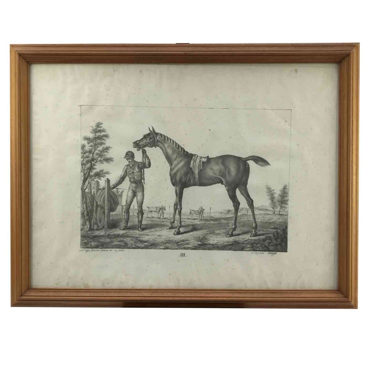 European Horse Breeds Nine Lithographs By Italian Giarrè Luigi 1822 Firenze-photo-2