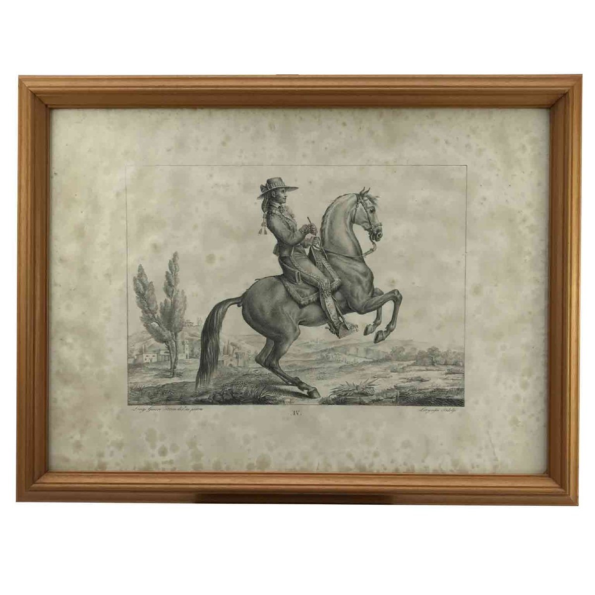 European Horse Breeds Nine Lithographs By Italian Giarrè Luigi 1822 Firenze-photo-3