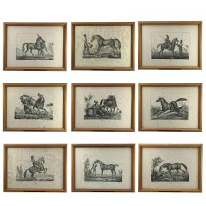 European Horse Breeds Nine Lithographs By Italian Giarrè Luigi 1822 Firenze