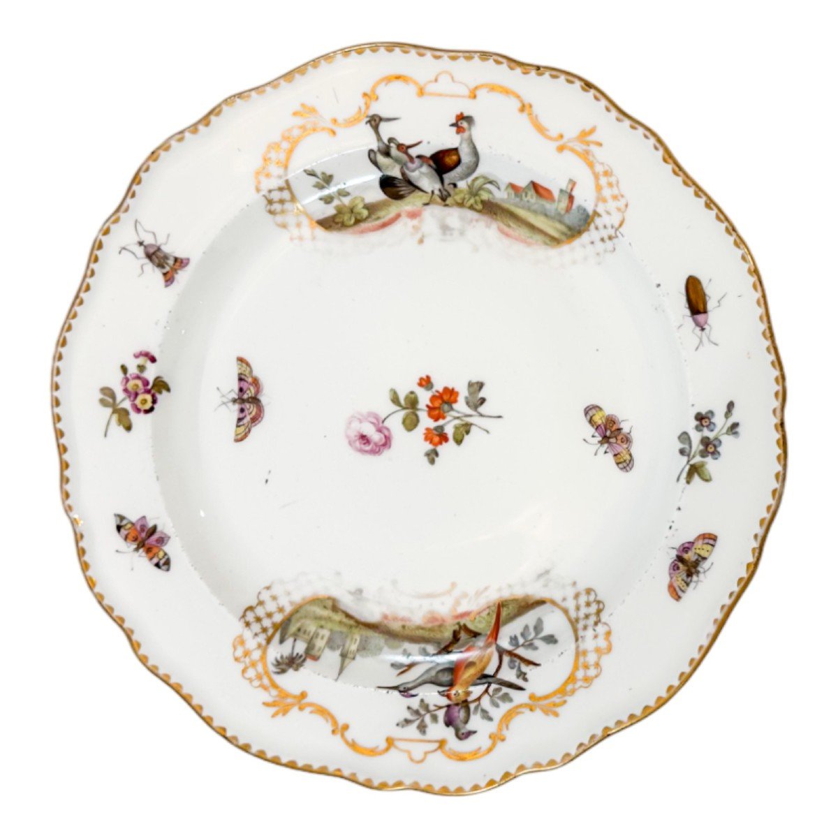 Assiette En Porcelaine De Meissen Du 19e S. à Décor d'Oiseaux Et d'Insectes, Bord Festonné Doré