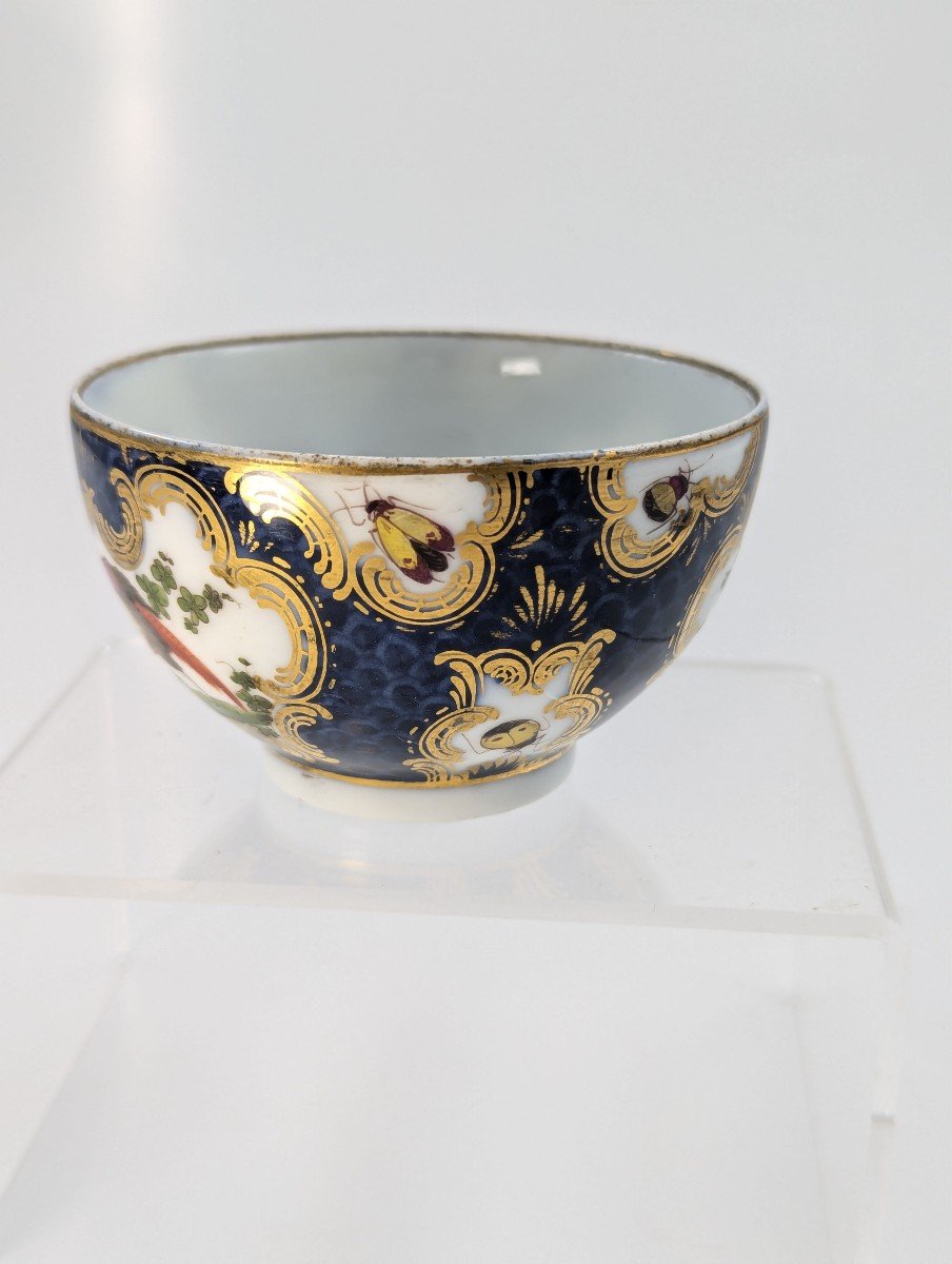 A Rare 18th Century Worcester Tea Cup With Hand-painted Exotic Birds - C.1760-photo-1