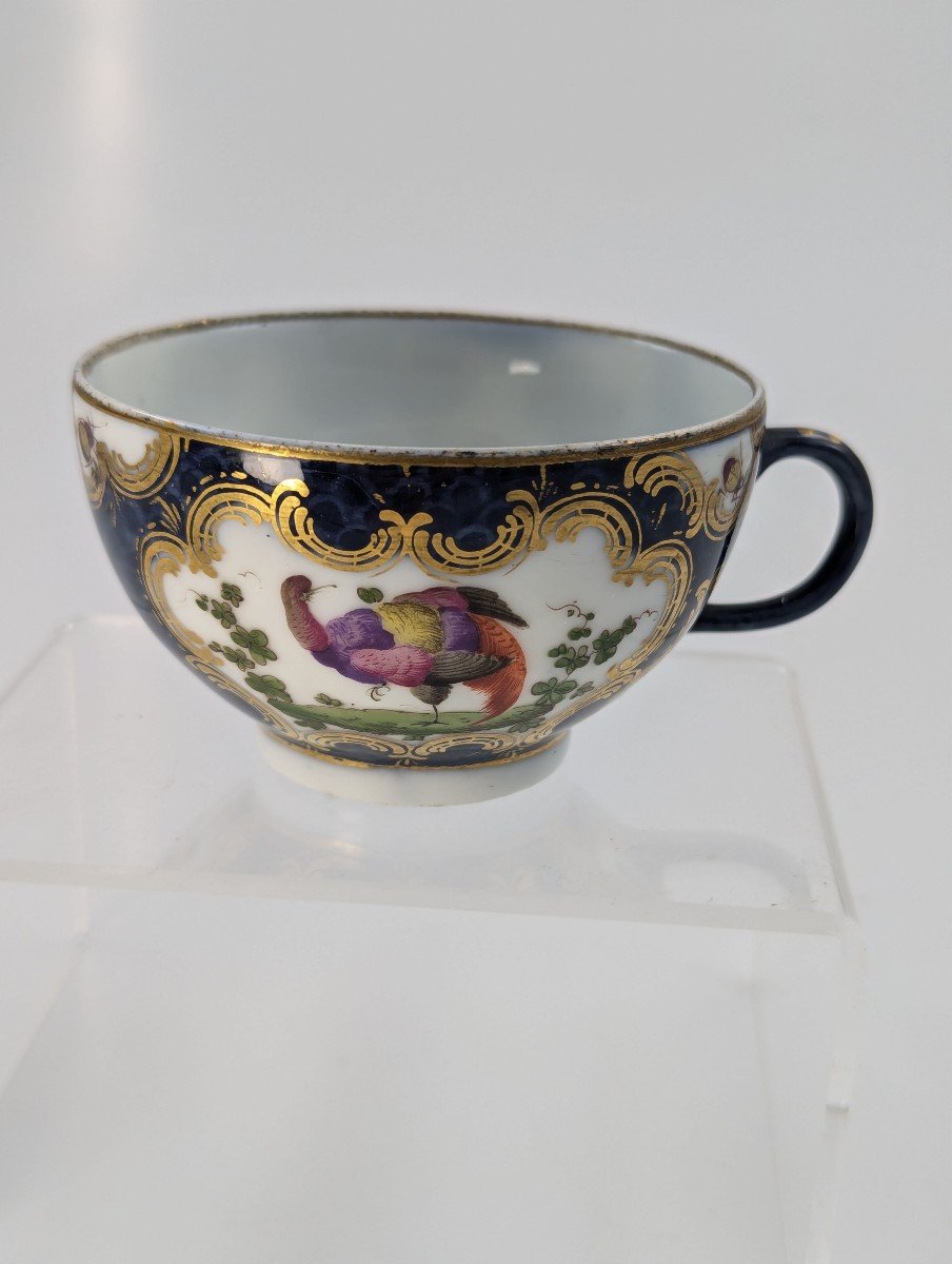 A Rare 18th Century Worcester Tea Cup With Hand-painted Exotic Birds - C.1760-photo-3