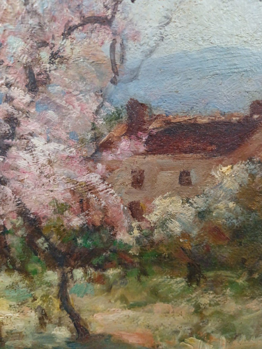 Oil On Cardboard "the House Behind The Flowering Trees" 34 X42 Cm-photo-1