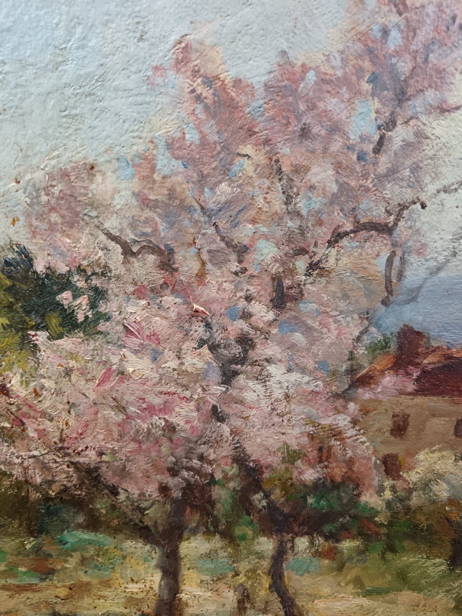 Oil On Cardboard "the House Behind The Flowering Trees" 34 X42 Cm-photo-5