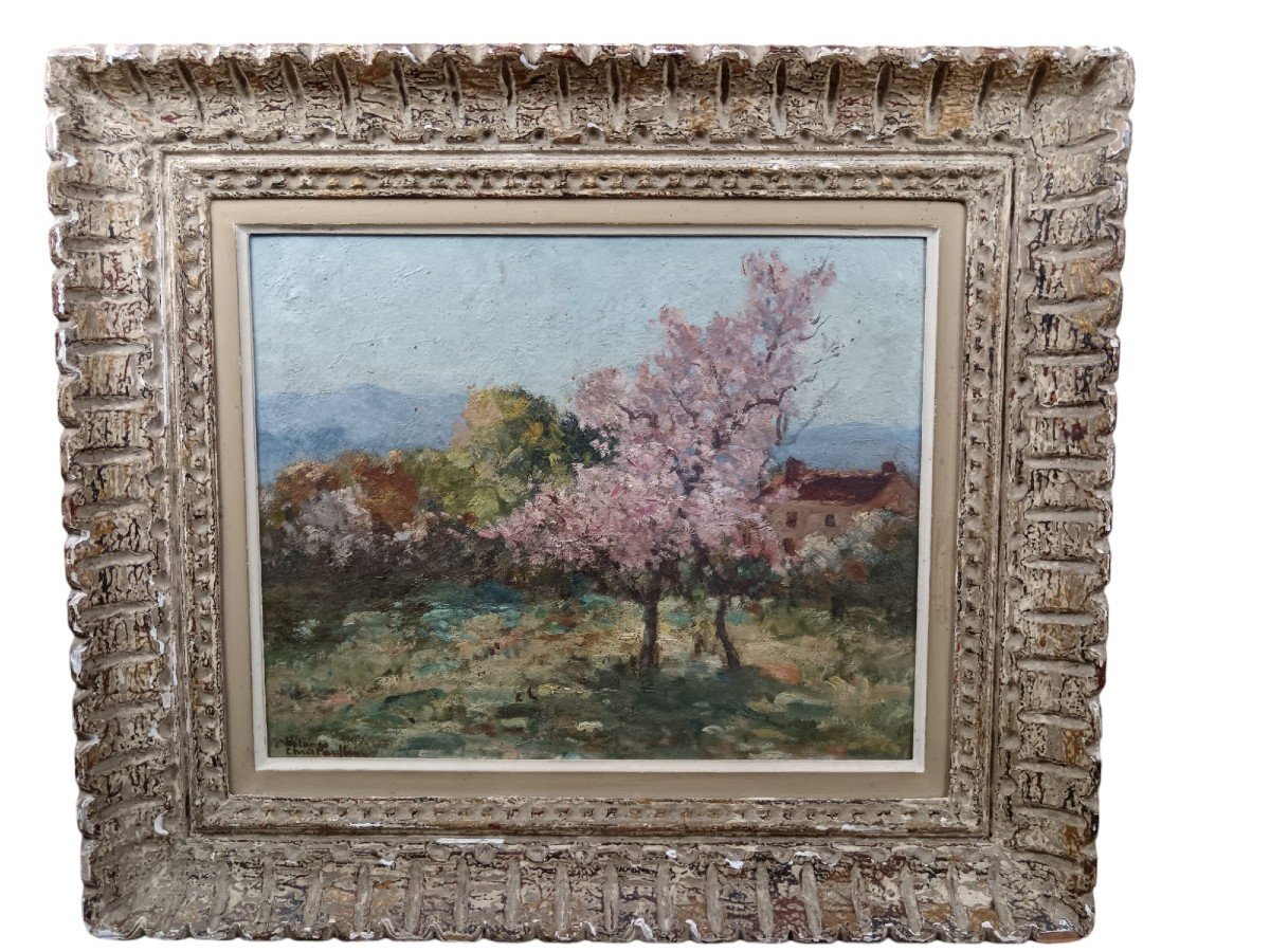 Oil On Cardboard "the House Behind The Flowering Trees" 34 X42 Cm