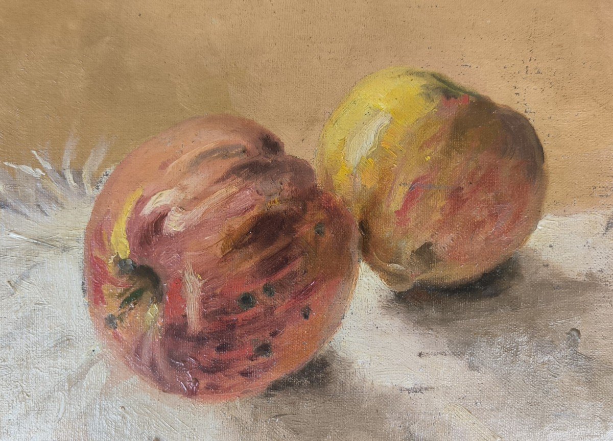 Austrian School. Oil On Cardboard "two Beautiful Apples" 25x22.5 Cm-photo-2