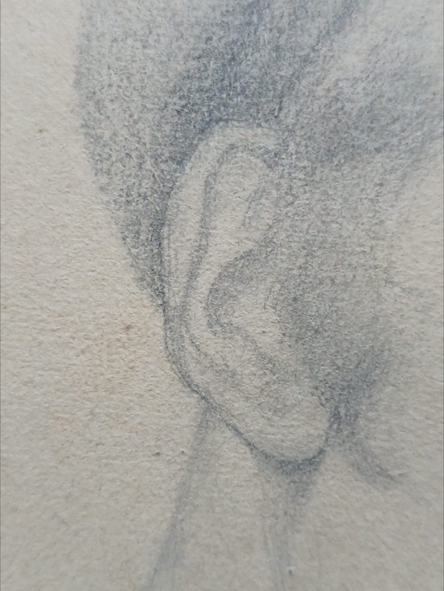 Paul Delaroche. Dessin Au Fusain Sur Papier "portrait d'Auguste Charpentier" 21 X 15cm à vue   -photo-3