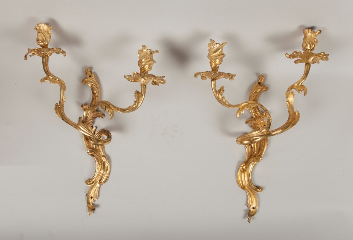 Paire d'Appliques En Bronze Doré d'époque Louis XV