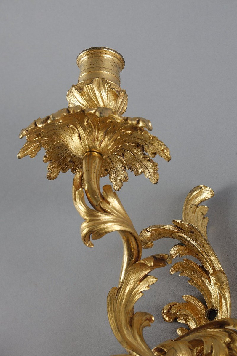 Pair Of Regency Period Gilt Bronze Sconces-photo-4