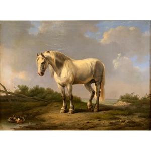 Cheval Avec Des Canards. Huile Sur Panneau 44x33. Attribué à Eugene Verboeckhoven.