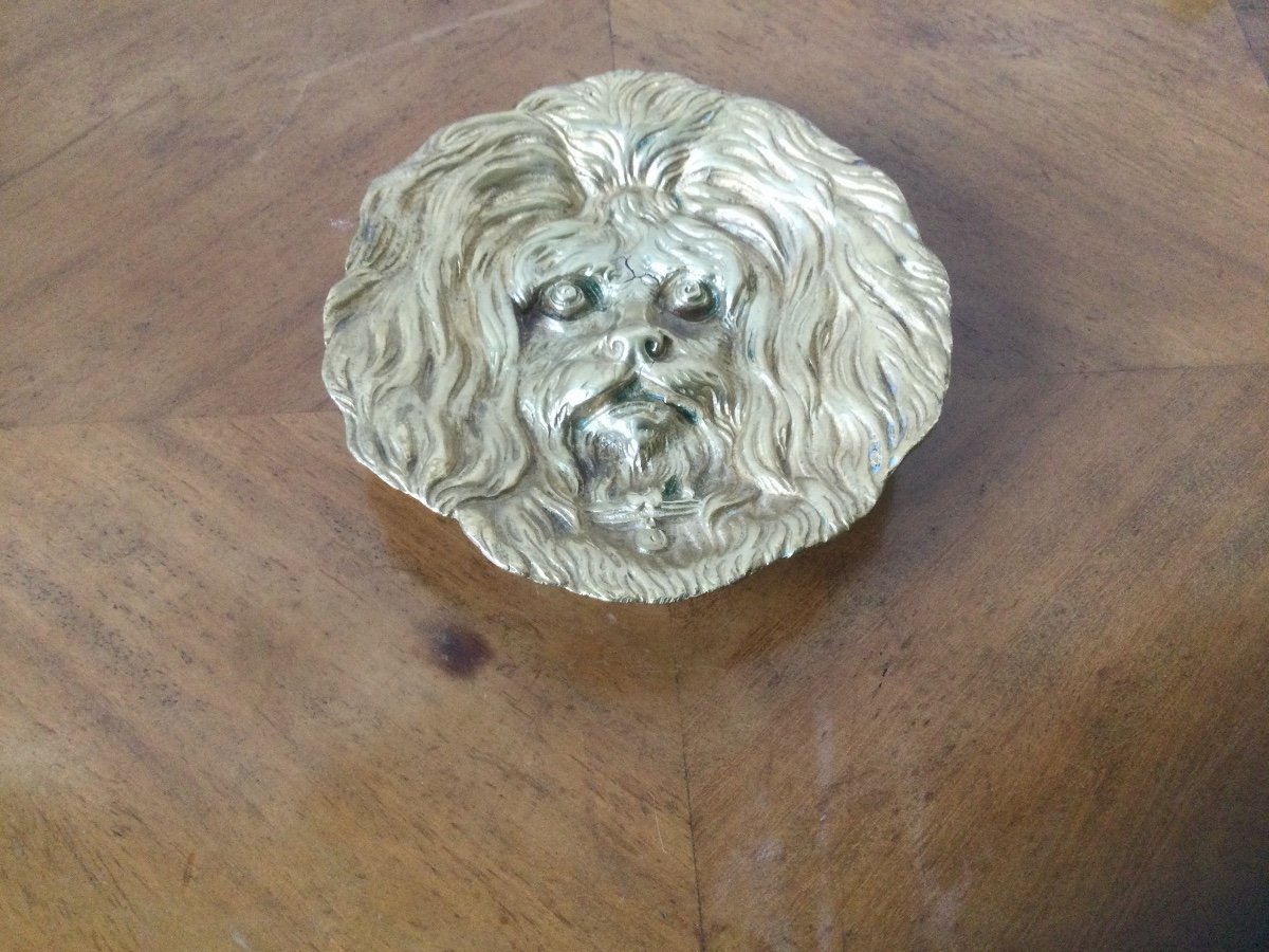 Empty Pocket Dog Head Bichon In Bronze-photo-2