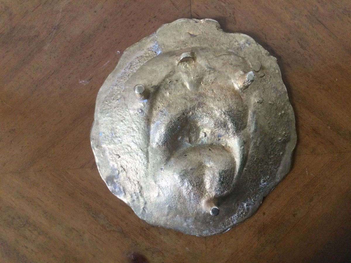 Empty Pocket Dog Head Bichon In Bronze-photo-4