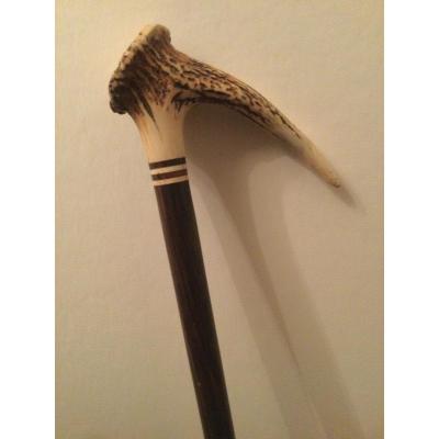 Cane Pommeau Andouiller Deer Antler Rosewood Barrel