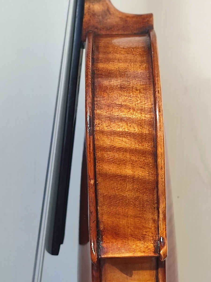 Neapolitan Violin By Vincenzo Postiglione, (1831-1916) Circa 1860-photo-3