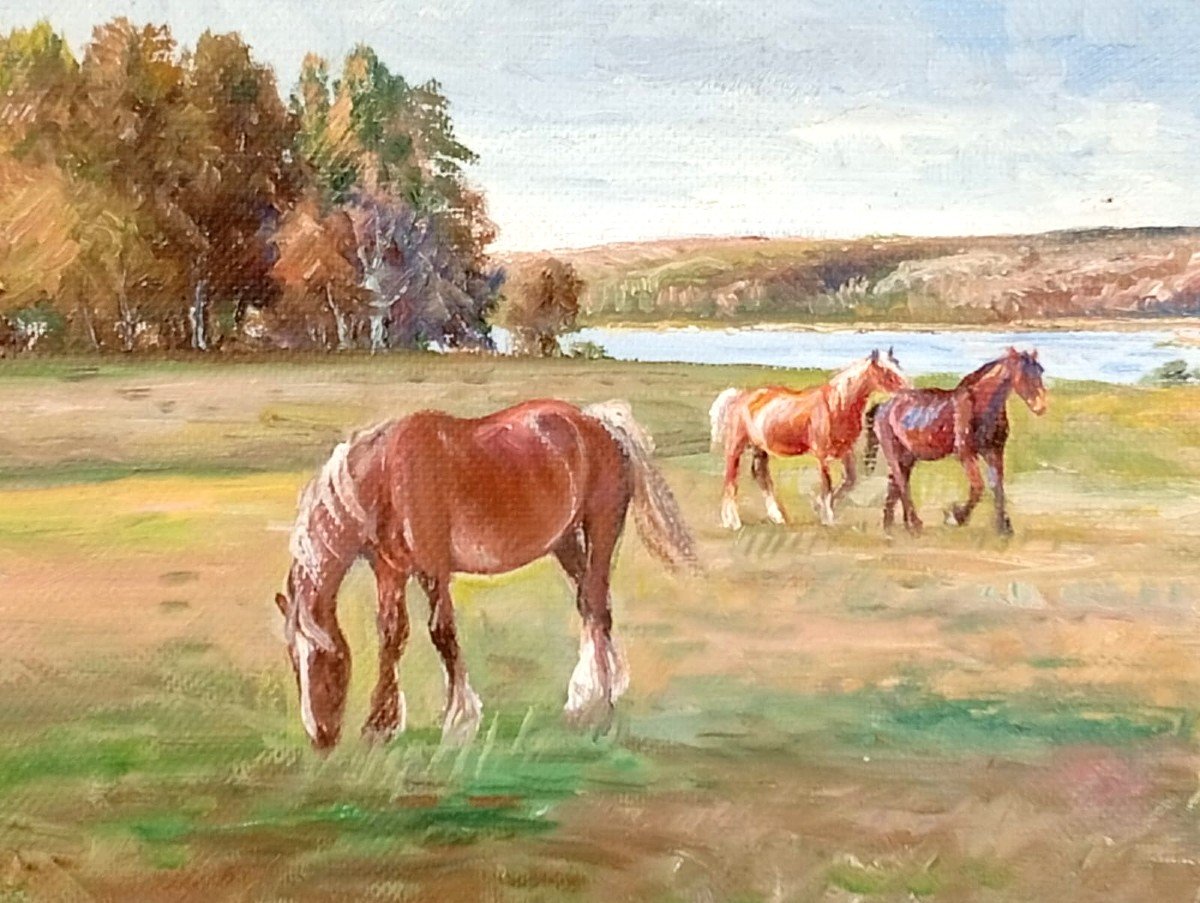 Herd Of Free Horses In The Meadow. Danish School Of The Early 1900s. Neil Christensen-photo-3