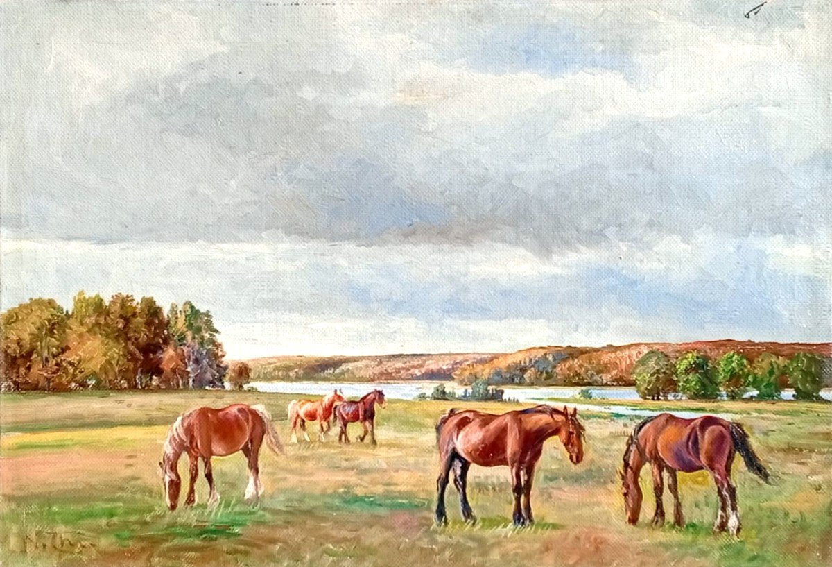 Herd Of Free Horses In The Meadow. Danish School Of The Early 1900s. Neil Christensen