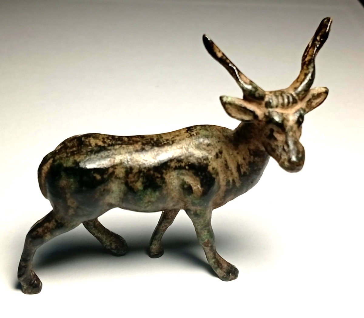  Ravissant bronze à la cire perdue Renaissance représentant un jeune cerf. Superbe patine brune