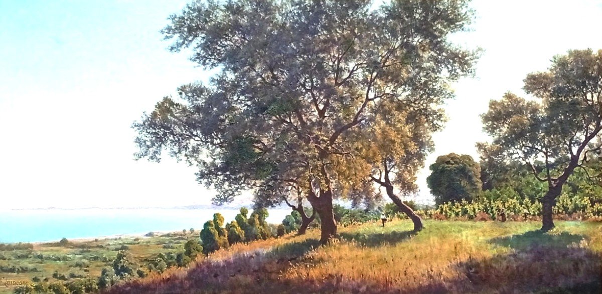  Francesco Lo Jacono 'le Voleur du Soleil'. La campagne sur le golfe de Termini Imerese. 75x150-photo-2