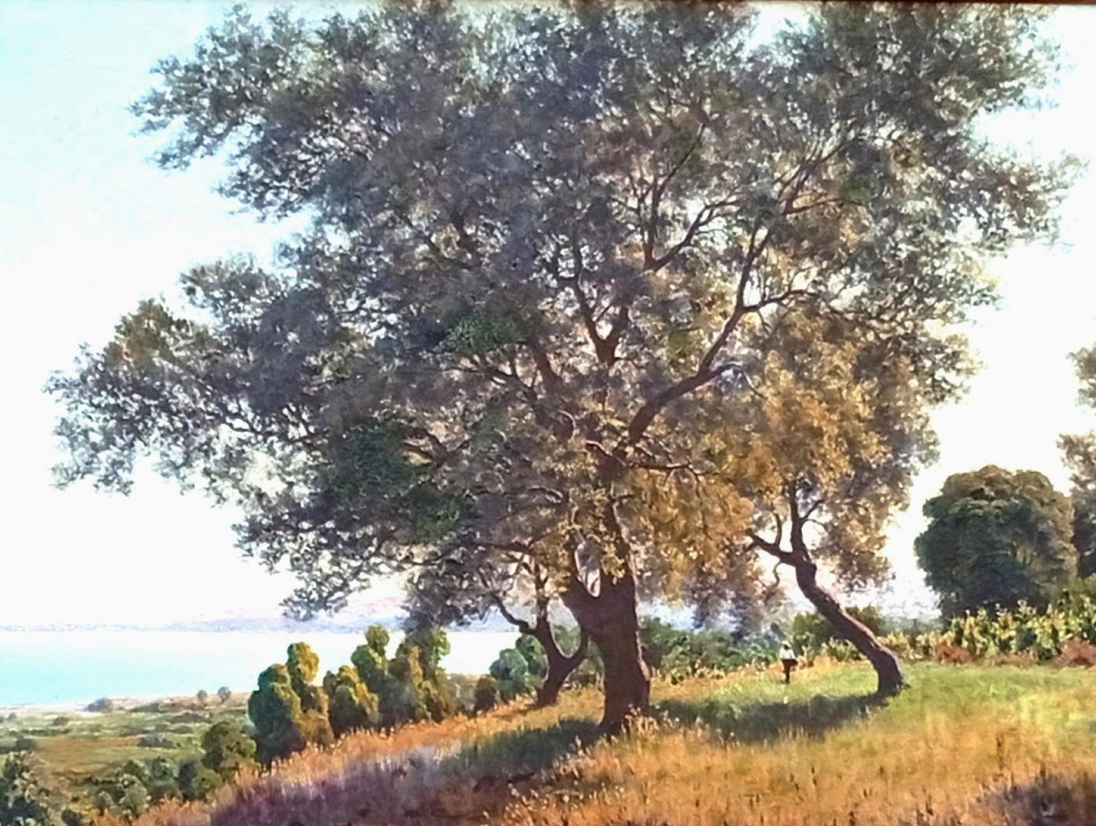  Francesco Lo Jacono 'le Voleur du Soleil'. La campagne sur le golfe de Termini Imerese. 75x150-photo-3