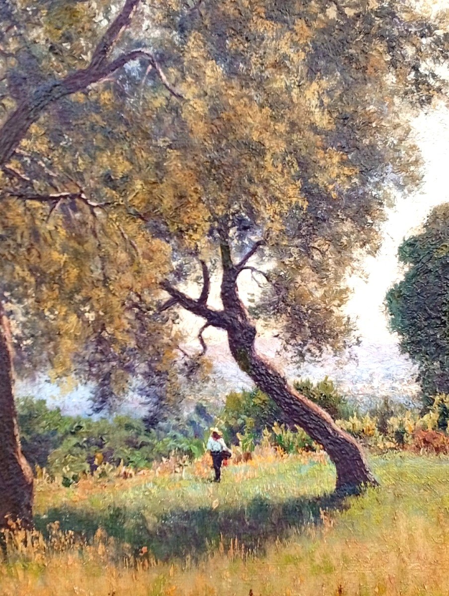  Francesco Lo Jacono 'le Voleur du Soleil'. La campagne sur le golfe de Termini Imerese. 75x150-photo-2