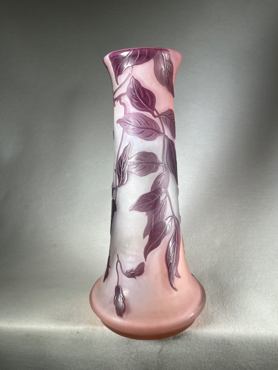 Sublime Emile Gallé Vase With Wisteria -photo-1