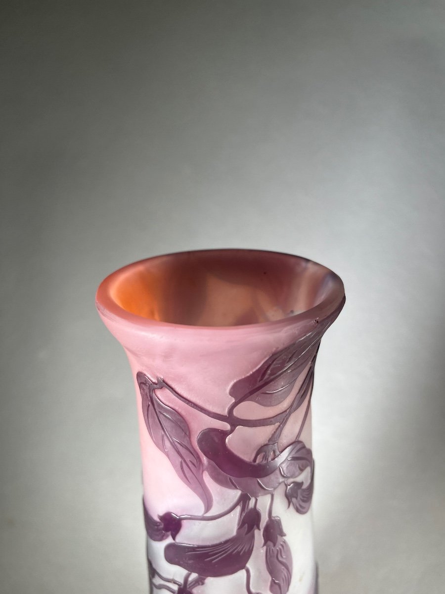 Sublime Emile Gallé Vase With Wisteria -photo-3