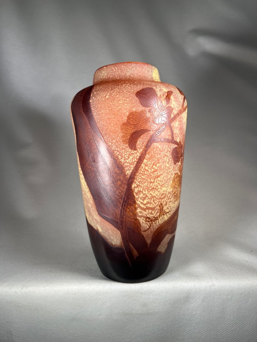 Interesting Emile Gallé Vase (orchid)-photo-2