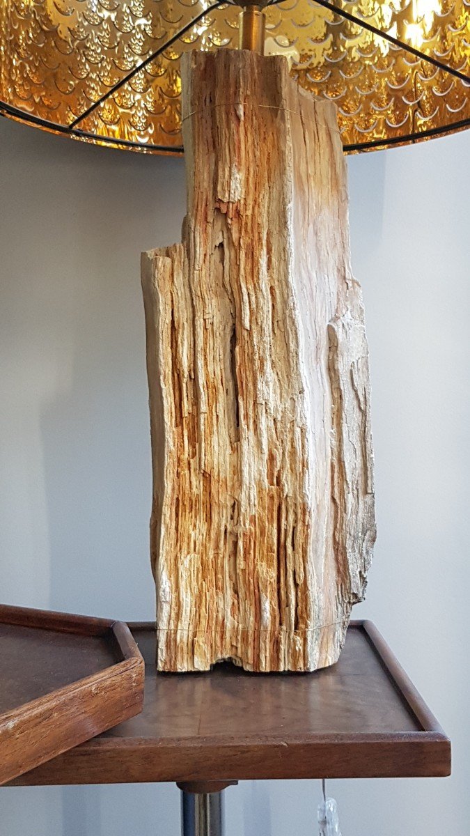 Petrified Wood Lamp-photo-2