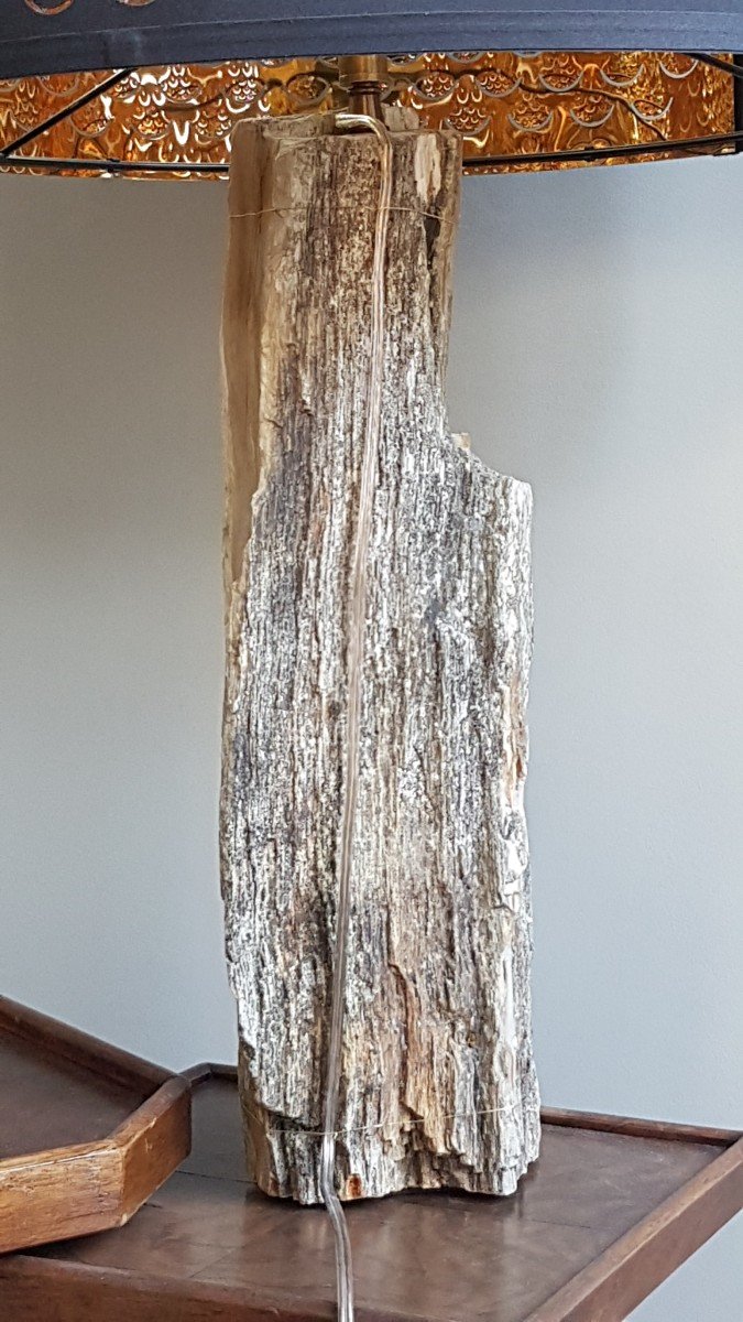 Petrified Wood Lamp-photo-3