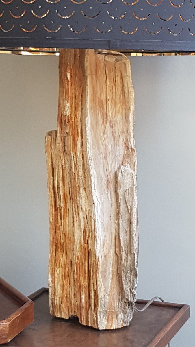 Petrified Wood Lamp-photo-1