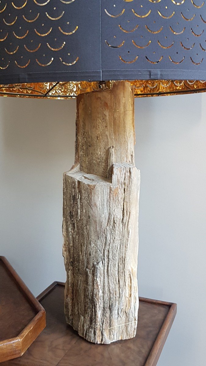 Petrified Wood Lamp-photo-4